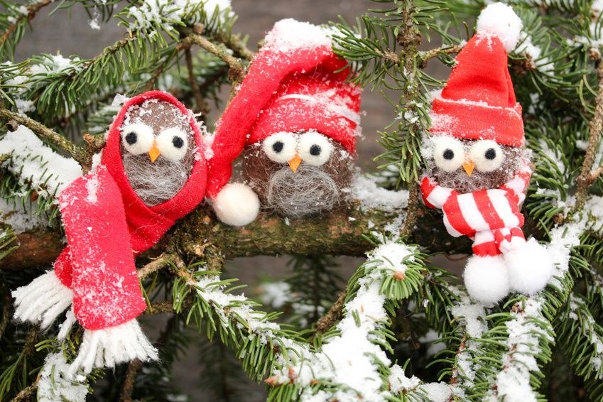 © ChristArt - Fotolia.com