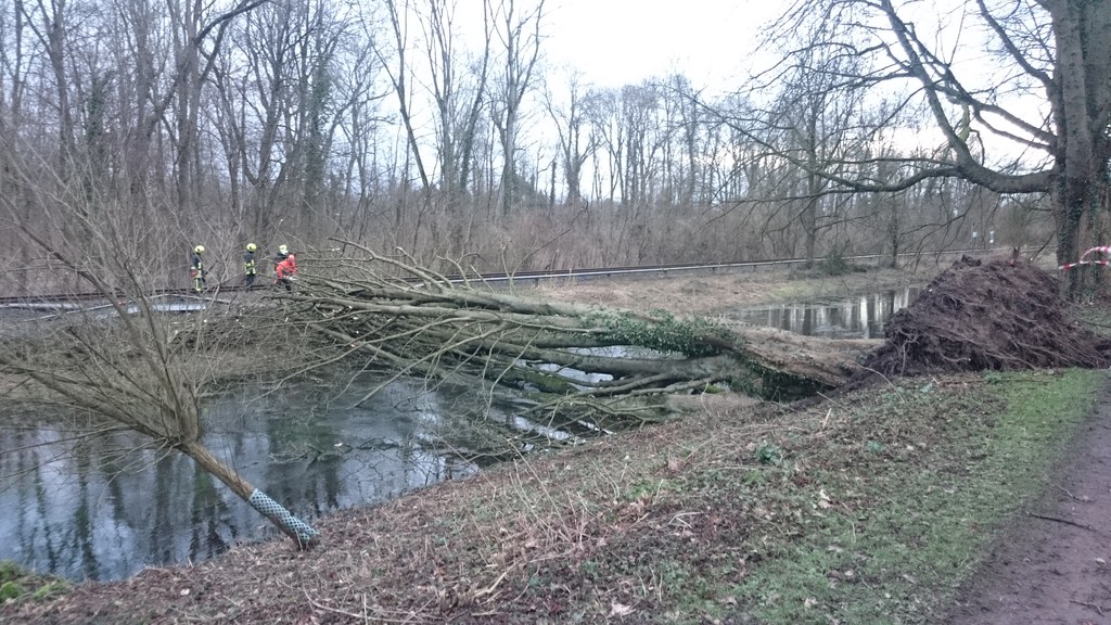 Folgen des Unwetters „Friederike“