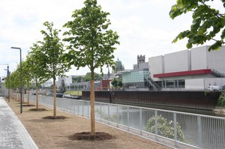 Uferpark 03
