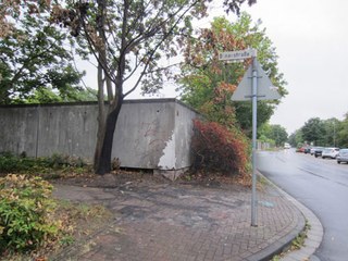 Baumfällungen: Spitzahorn, Donaustraße