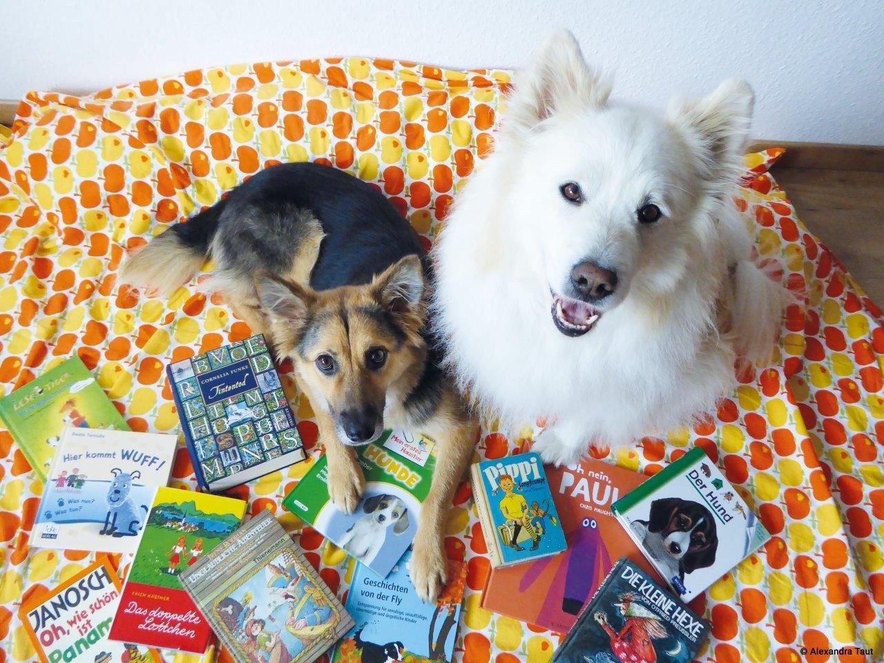 2504 Angebote der Stadtbibliothek im Mai 03_bambam und fluffy_Foto Alexandra Taut.jpg