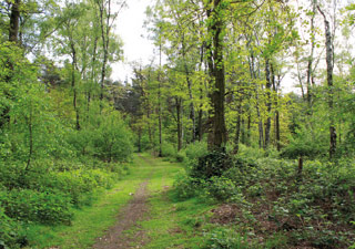 stadt-neuss_natur-radrouten_02_fluss-bachauen_21.jpg stadt-neuss_natur-radrouten_02_fluss-bachauen_21.jpg