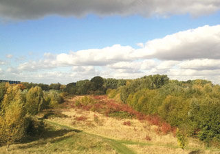 stadt-neuss_natur-radrouten_02_fluss-bachauen_19b.jpg stadt-neuss_natur-radrouten_02_fluss-bachauen_19b.jpg