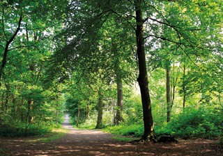 stadt-neuss_natur-radrouten_02_fluss-bachauen_24.jpg stadt-neuss_natur-radrouten_02_fluss-bachauen_24.jpg