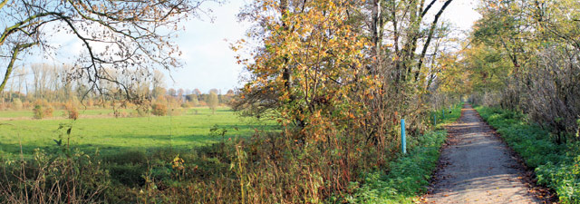 stadt-neuss_natur-radrouten_02_fluss-bachauen_32.jpg stadt-neuss_natur-radrouten_02_fluss-bachauen_32.jpg